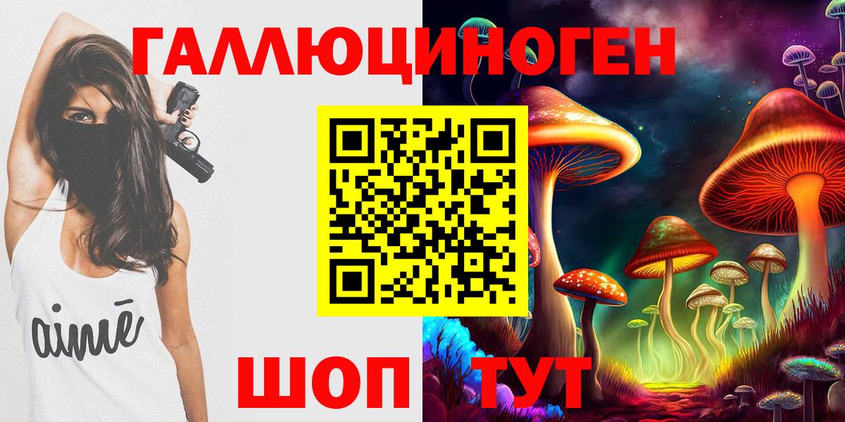 Псилоцибиновые грибы Cubensis  Вход с VPN  Керчь 
