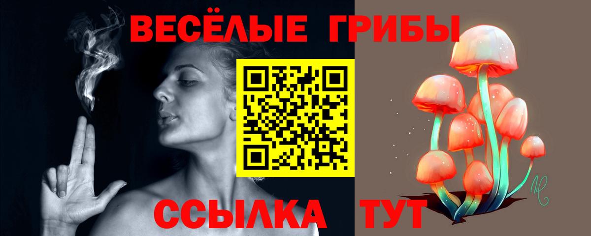 Псилоцибиновые грибы GOLDEN TEACHER Керчь